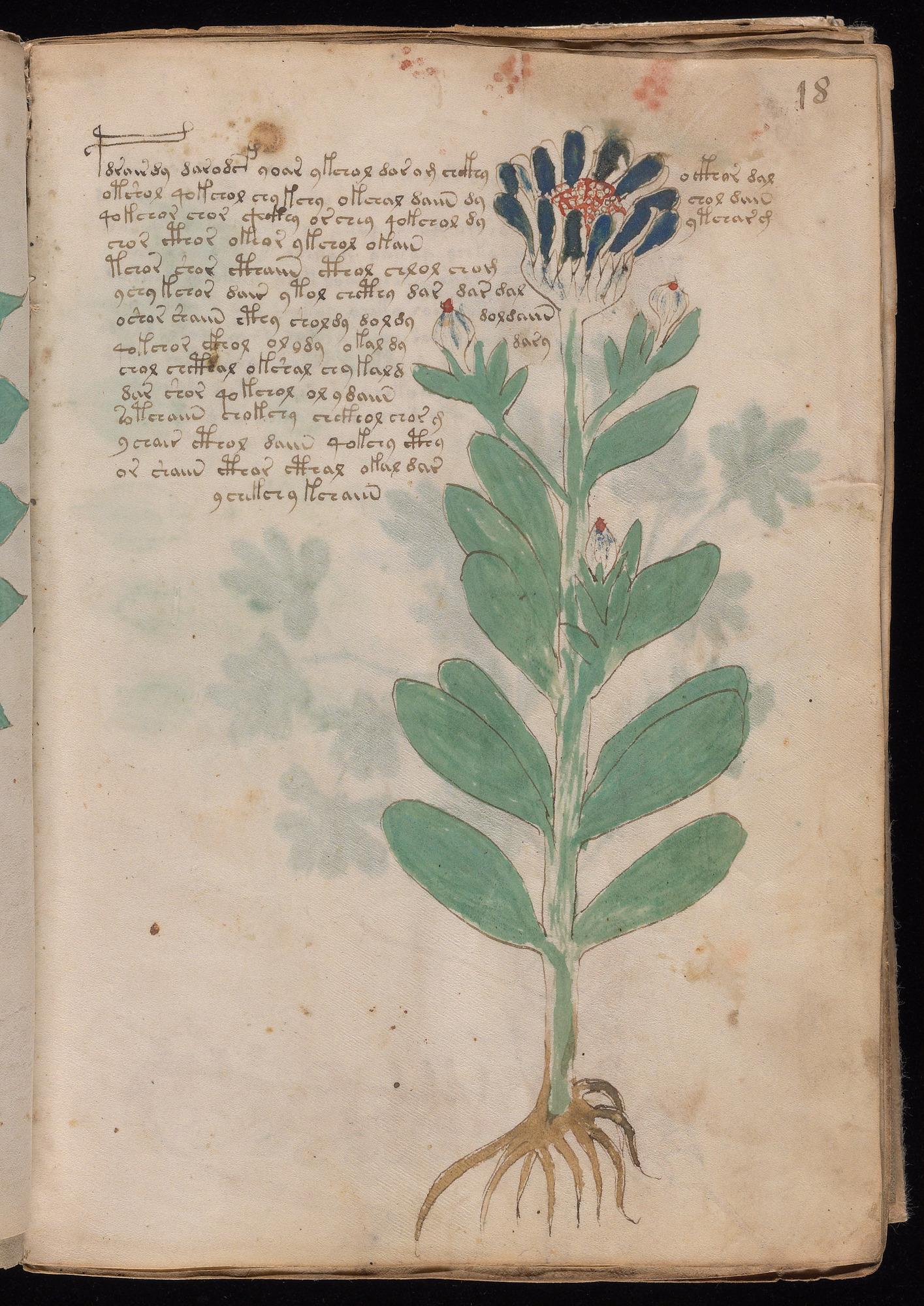 Herbal Page 33